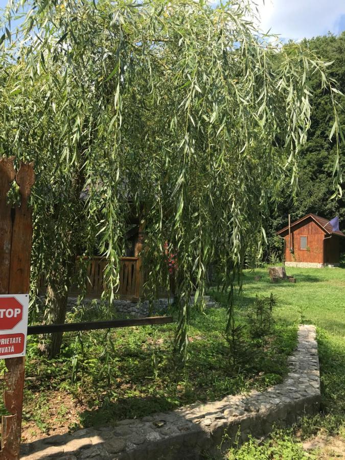 Cabana Valea Tonii Villa Strungari Exterior foto